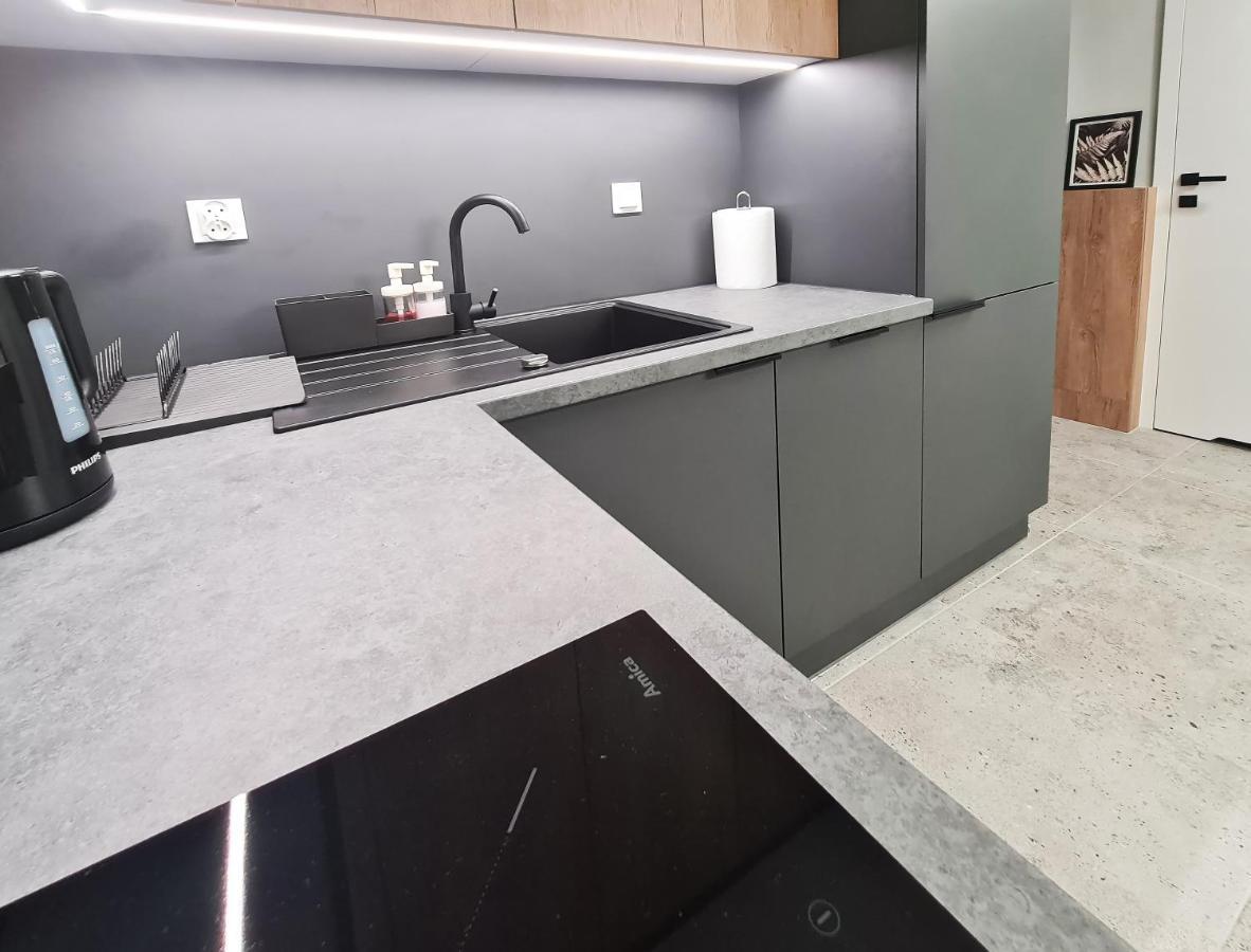 Irs Royal Apartments Apartamenty Irs Nowoczesne Apartamenty Wrzeszcz Gdańsk Eksteriør billede
